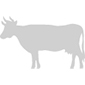 icone vache