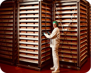 MLC-Portrait Nathalie