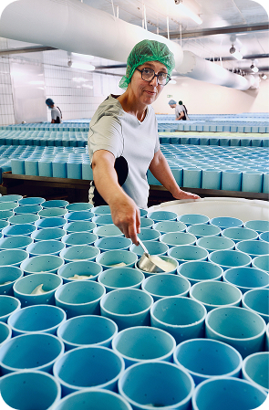 MLC Portrait Pauline