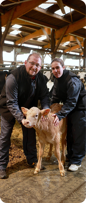 Les Maitres Laitiers